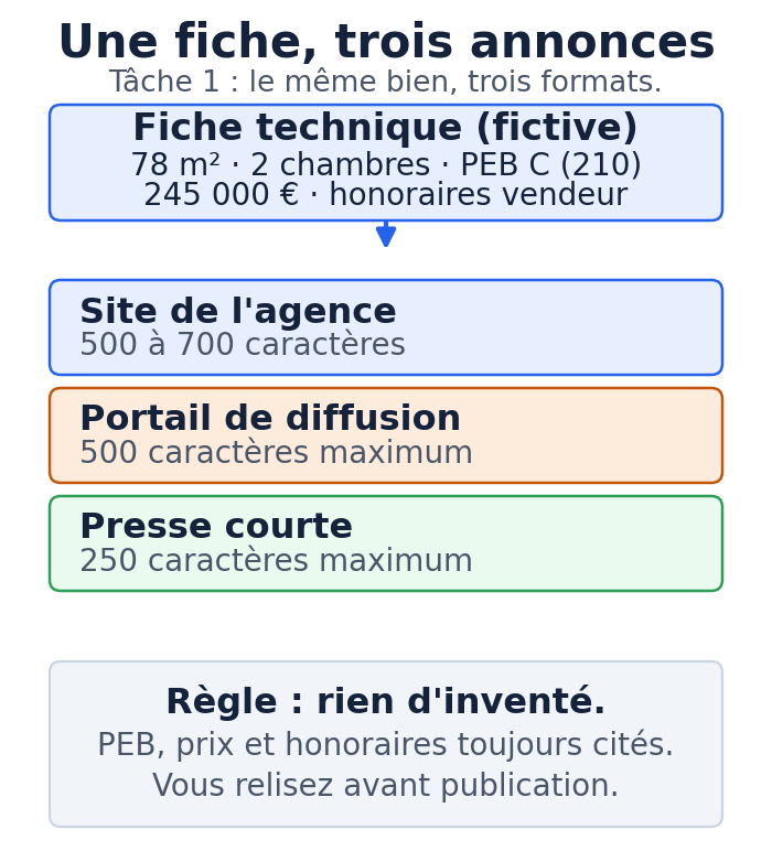 Schéma pédagogique : une fiche technique fictive déclinée en trois formats d'annonce (site de l'agence 500 à 700 caractères, portail 500 caractères maximum, presse courte 250 caractères maximum), avec relecture humaine et la règle de ne rien inventer.